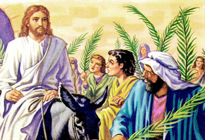 jesús en burro, ingreso jesús a jerusalén, domingo de ramos